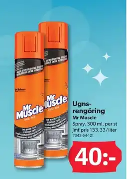 DollarStore Ugns- rengöring Mr Muscle erbjuda