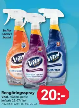DollarStore Rengöringsspray erbjuda