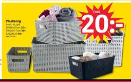 DollarStore Plastkorg erbjuda