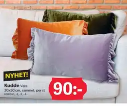 DollarStore Kudde Vera erbjuda