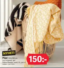 DollarStore Pläd erbjuda