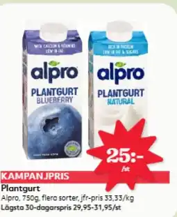 Hemköp Plantgurt erbjuda