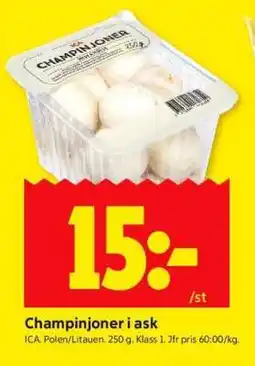ICA Supermarket CHAMPINJONER I ASK erbjuda