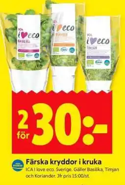 ICA Supermarket Färska kryddor i kruka erbjuda