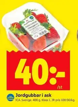 ICA Supermarket Jordgubbar i ask erbjuda
