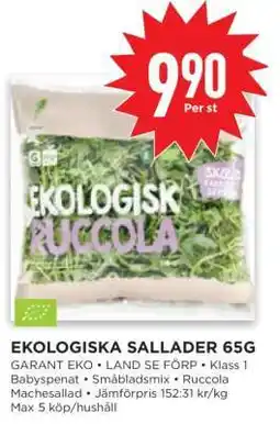 Willys EKOLOGISKA SALLADER 65G erbjuda