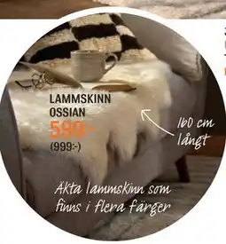 Mio LAMMSKINN OSSIAN, SEK 599 erbjuda