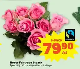 Stora Coop Rosor Fairtrade 9-pack, SEK 79.9 erbjuda