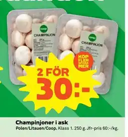 Stora Coop Champinjoner i ask, SEK 30 erbjuda