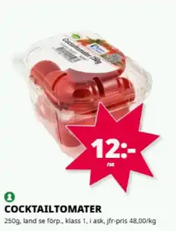 Tempo Cocktailtomater erbjuda