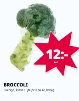 Tempo Broccoli erbjuda