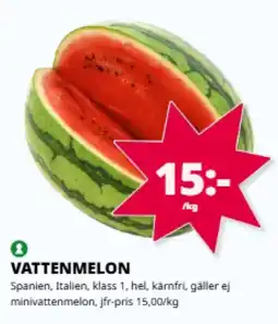 Tempo Vattenmelon erbjuda
