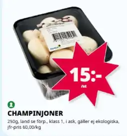 Tempo Champinjoner erbjuda