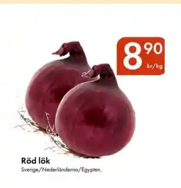 Snabbgross Röd lök erbjuda