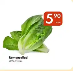 Snabbgross Romansallad erbjuda