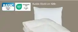 JYSK Kudde 50x60 cm, SEK 125 erbjuda