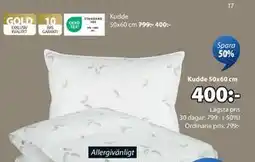 JYSK Kudde 50x60 cm, SEK 400 erbjuda