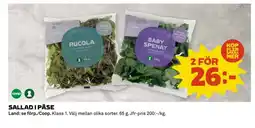 Coop Sallad i påse erbjuda
