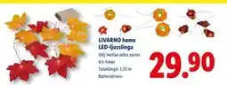 Lidl LIVARNO home LED-ljusslinga, SEK 29.9 erbjuda