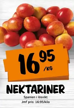 Bazaar Food market Nektariner erbjuda