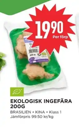 Willys Ekologisk ingefära erbjuda