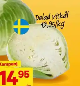 City Gross Delad vitkål, SEK 19.95 erbjuda