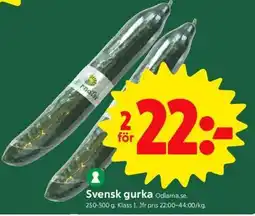 ICA Supermarket Svensk gurka erbjuda