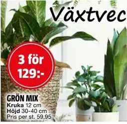 Bauhaus GRÖN MIX, SEK 129 erbjuda
