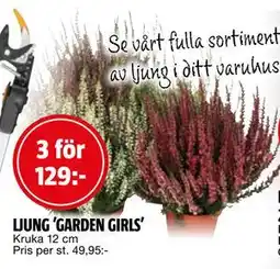Bauhaus LJUNG ’GARDEN GIRLS’, SEK 129 erbjuda