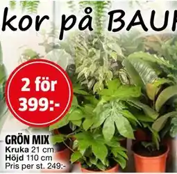 Bauhaus GRÖN MIX, SEK 399 erbjuda