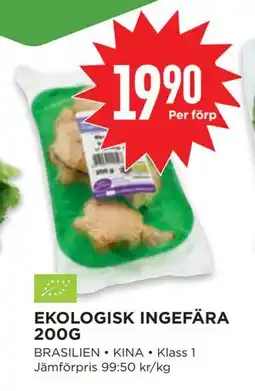 Willys EKOLOGISK INGEFÄRA 200G, SEK 19.9 erbjuda