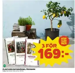 Coop Daglivs PLANTJORD/NATURGÖDSEL/TÄCKBARK, SEK 169 erbjuda