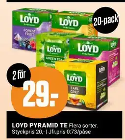 ÖoB LOYD PYRAMID TE, Medlemspris erbjuda