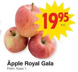Matöppet Äpple Royal Gala, SEK 19.95 erbjuda