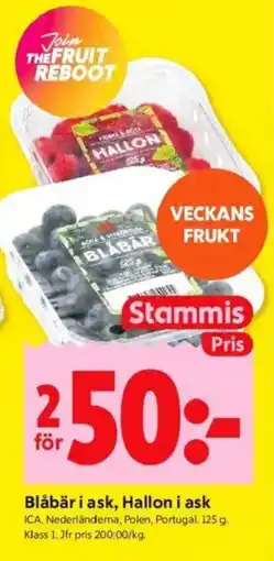ICA Kvantum ICA Blåbär i ask, hallon i ask erbjuda