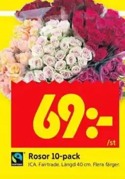 ICA Kvantum Rosor 10-pack erbjuda