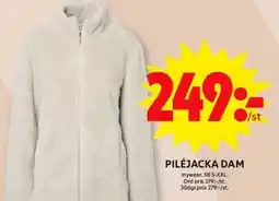 ICA Supermarket Piléjacka dam erbjuda