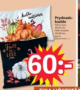 DollarStore Prydnads- kudde erbjuda