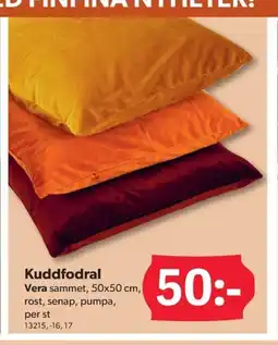 DollarStore Kuddfodral erbjuda