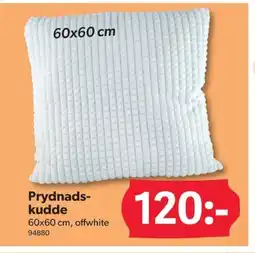 DollarStore Prydnads- kudde erbjuda
