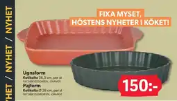 DollarStore Ugnsform erbjuda