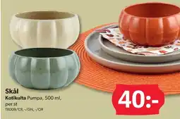 DollarStore Skål Kotikulta Pumpa erbjuda
