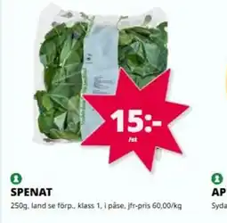 Tempo SPENAT erbjuda