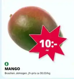 Tempo MANGO erbjuda