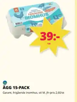 Tempo ÄGG 15-PACK erbjuda