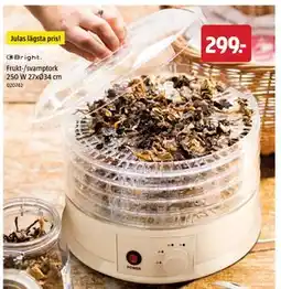 Jula Frukt-/svamptork 250 W 27xØ34 cm, SEK 299 erbjuda