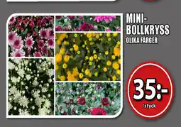 Extra Mjällby Stormarknad MINI- BOLLKRYSS OLIKA FÄRGER erbjuda