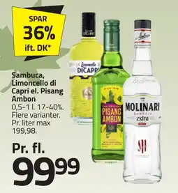 Fleggaard Sambuca, limoncello di capri el. pisang ambon erbjuda