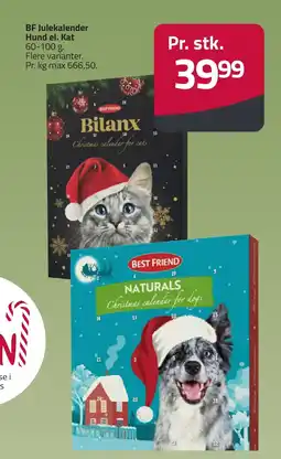 Fleggaard Bf julekalender hund el. kat erbjuda