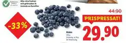 Lidl Blåbär, SEK 29.9 erbjuda